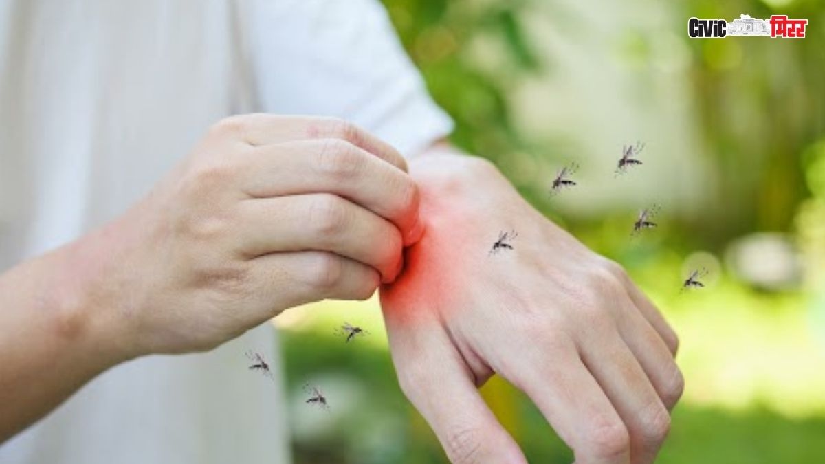 dengue,  positive dengue,  Pimpri Chinchwad